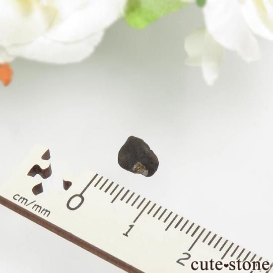 ӥ󥹥 No.2μ̿1 cute stone