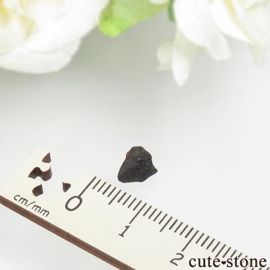 チェリャビンスク隕石 No.5の写真1 cute stone