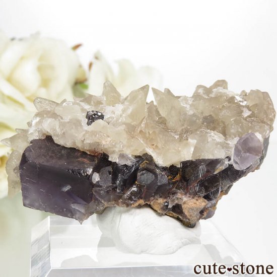 ѥ Х󽣻 ѡץ֥롼ե饤ȡ륵Ȥθ 44.4gμ̿1 cute stone
