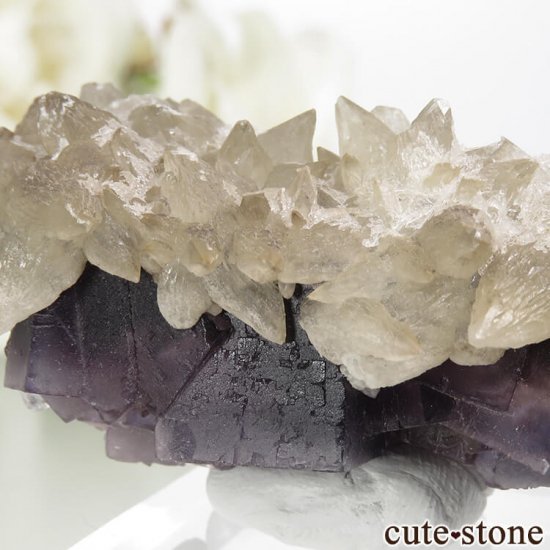 ѥ Х󽣻 ѡץ֥롼ե饤ȡ륵Ȥθ 44.4gμ̿3 cute stone