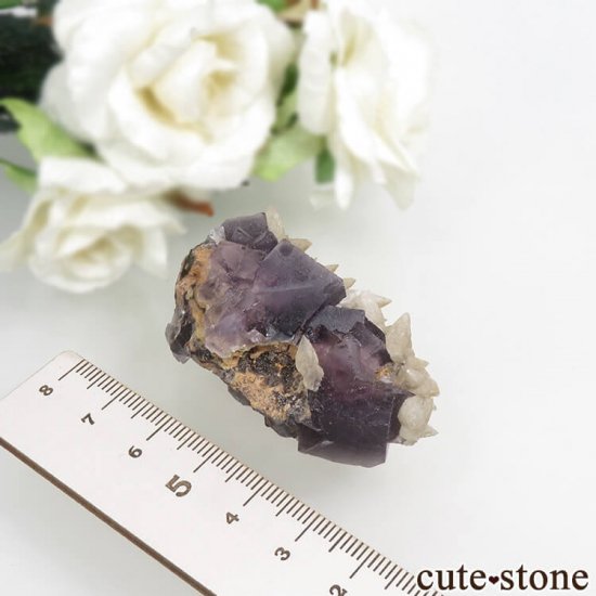 ѥ Х󽣻 ѡץ֥롼ե饤ȡ륵Ȥθ 44.4gμ̿4 cute stone
