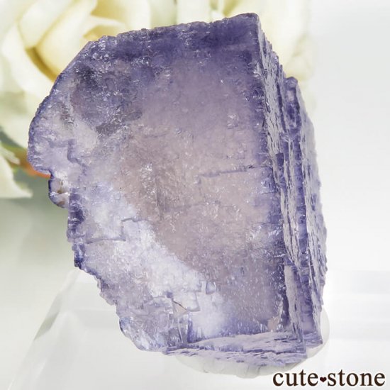 ꥫ ०åɹۻ ѡץ֥롼ե饤ȡե饤Ȥθ 68.3gμ̿0 cute stone