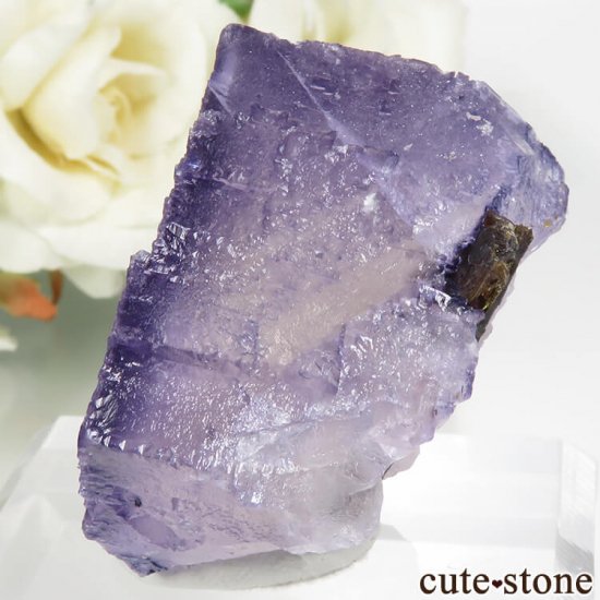 ꥫ ०åɹۻ ѡץ֥롼ե饤ȡե饤Ȥθ 68.3gμ̿2 cute stone