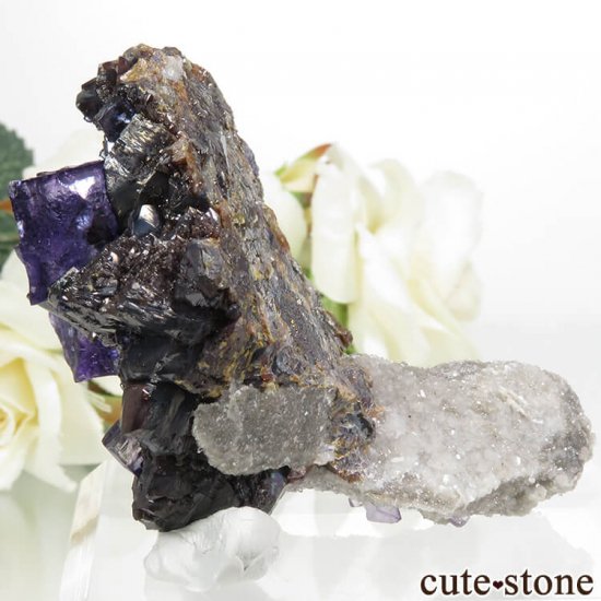 ꥫ ०åɹۻ ѡץ֥롼ե饤ȡե饤Ȥθ 89.3gμ̿2 cute stone