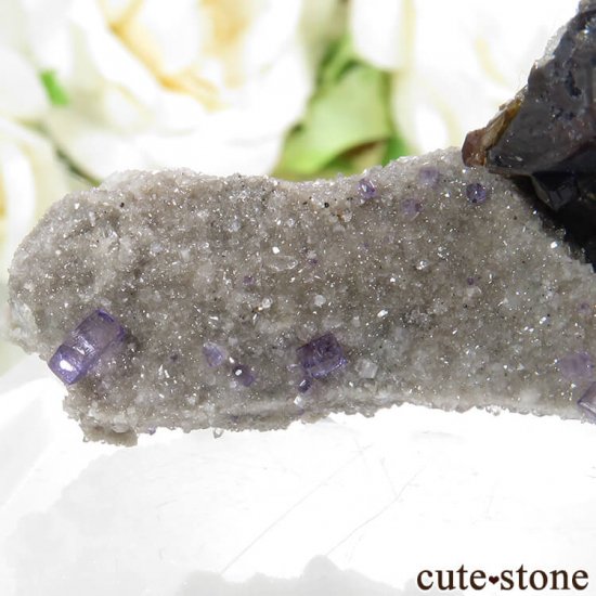 ꥫ ०åɹۻ ѡץ֥롼ե饤ȡե饤Ȥθ 89.3gμ̿5 cute stone