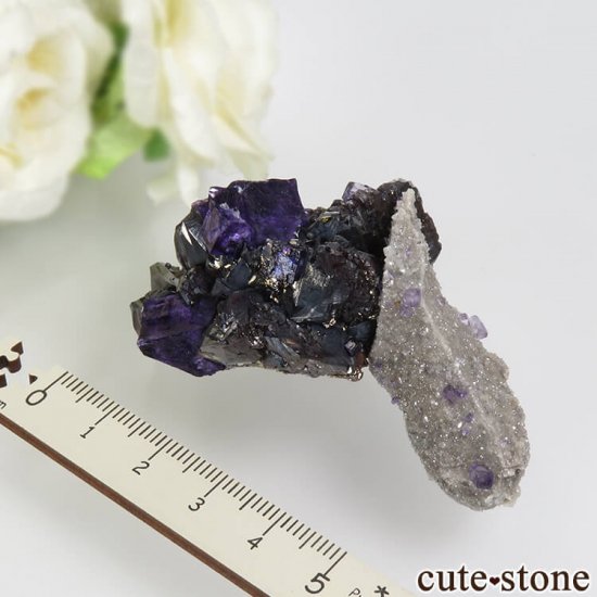 ꥫ ०åɹۻ ѡץ֥롼ե饤ȡե饤Ȥθ 89.3gμ̿6 cute stone