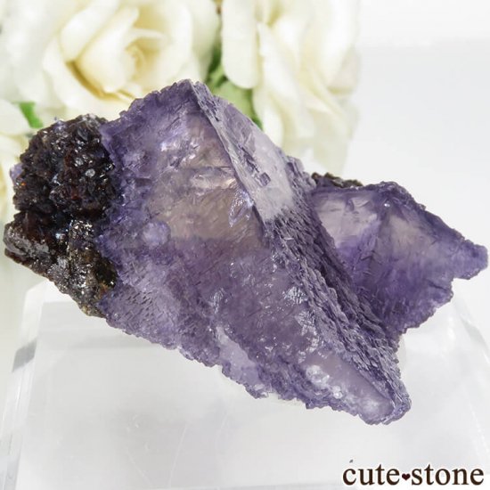 ꥫ ०åɹۻ ѡץ֥롼ե饤ȡե饤Ȥθ 79.1gμ̿0 cute stone