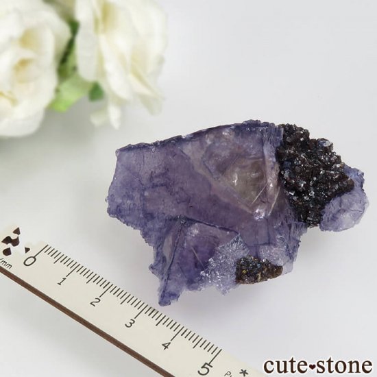 ꥫ ०åɹۻ ѡץ֥롼ե饤ȡե饤Ȥθ 79.1gμ̿4 cute stone