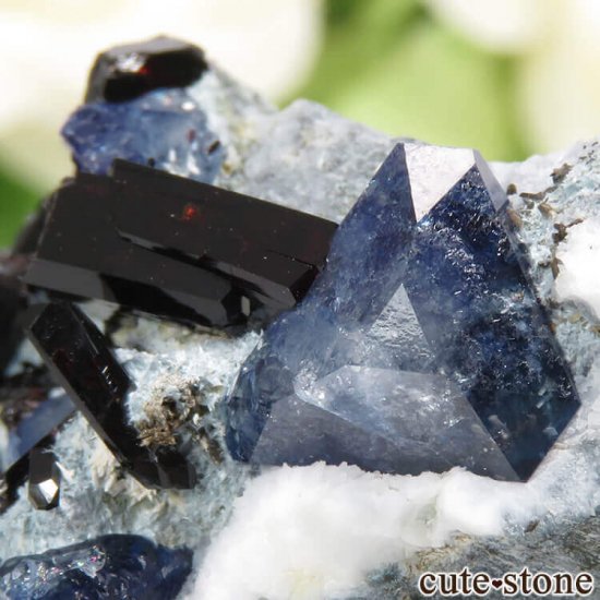 カリフォルニア産 ベニトアイト＆ネプチュナイトの母岩付き結晶（原石） - cute stone