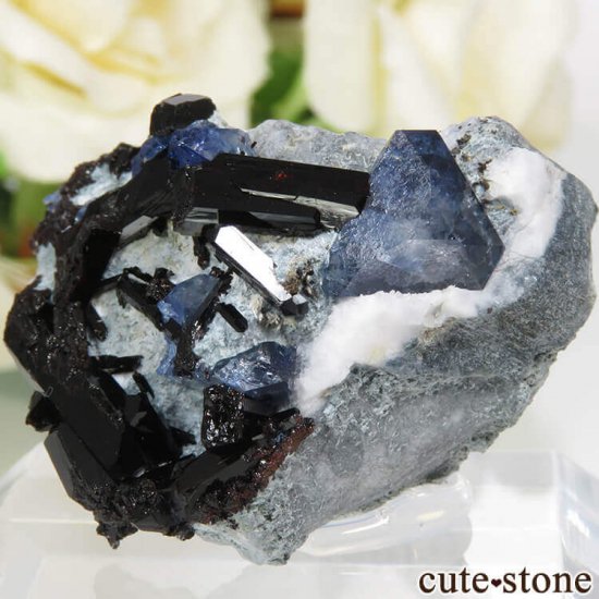 ե˥ ٥˥ȥȡͥץʥȤդ뾽ʸСˤμ̿0 cute stone