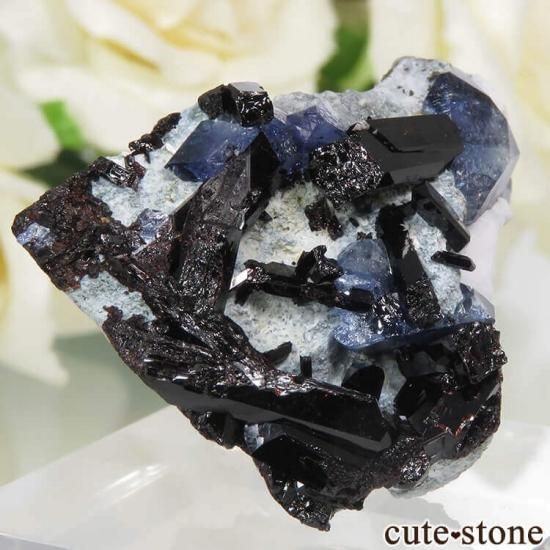 ե˥ ٥˥ȥȡͥץʥȤդ뾽ʸСˤμ̿1 cute stone