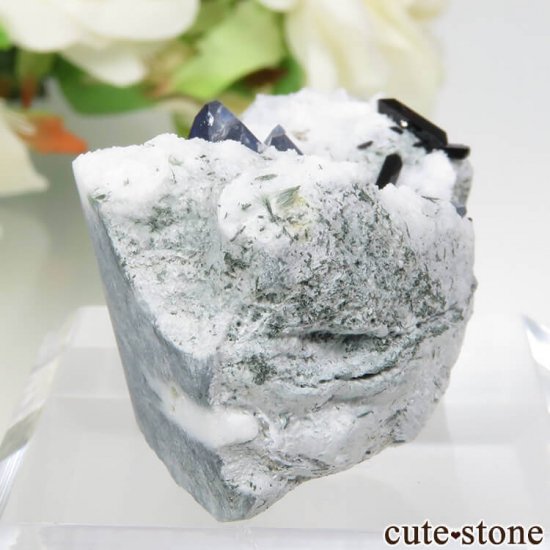 ե˥ ٥˥ȥȡͥץʥȤդ뾽ʸСˤμ̿0 cute stone