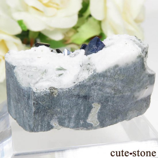 ե˥ ٥˥ȥȡͥץʥȤդ뾽ʸСˤμ̿1 cute stone