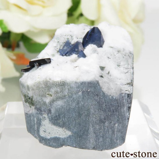 ե˥ ٥˥ȥȡͥץʥȤդ뾽ʸСˤμ̿2 cute stone