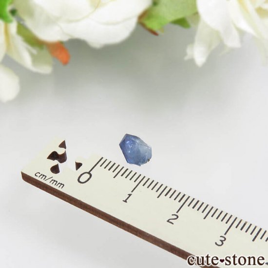ե˥ ٥˥ȥȤη뾽ʸС1.3ctμ̿2 cute stone