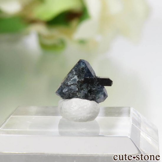 ե˥ ٥˥ȥȡͥץʥȤη뾽ʸС0.5ctμ̿1 cute stone