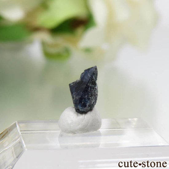 ե˥ ٥˥ȥȡͥץʥȤη뾽ʸС0.5ctμ̿2 cute stone