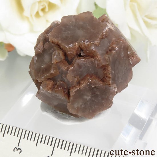 ڥ Minglanilla ܡߤʥ饴ʥȤθ 28gμ̿0 cute stone