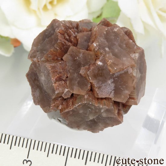 ڥ Minglanilla ܡߤʥ饴ʥȤθ 32gμ̿0 cute stone