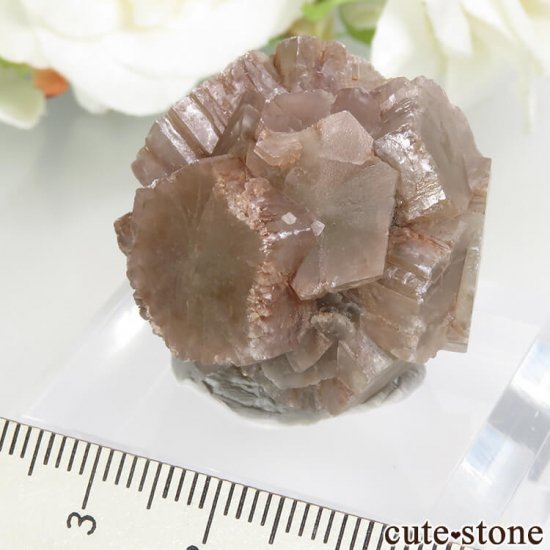 ڥ Minglanilla ܡߤʥ饴ʥȤθ 28g(3)μ̿0 cute stone