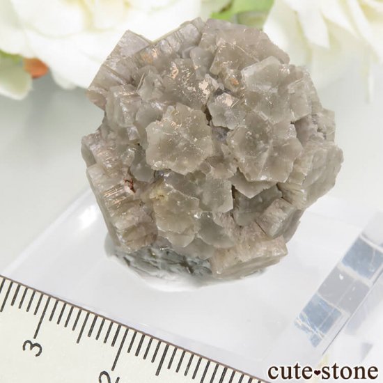 ڥ Minglanilla ܡߤʥ饴ʥȤθ 29gμ̿0 cute stone