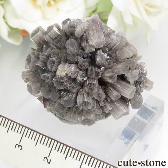 ڥ Minglanilla ܡߤʥ饴ʥȤθ 36gμ̿0 cute stone