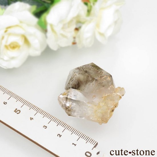ʥߥӥ ֥ɥСꥢ Goboboseb ꥹ⡼Ĥη뾽() 31gμ̿7 cute stone