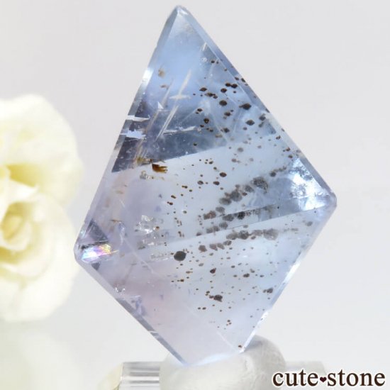 ꥫ ȬΡʤؤ뾽˥֥롼ե饤ȤΥݥå᤭31.4g μ̿0 cute stone