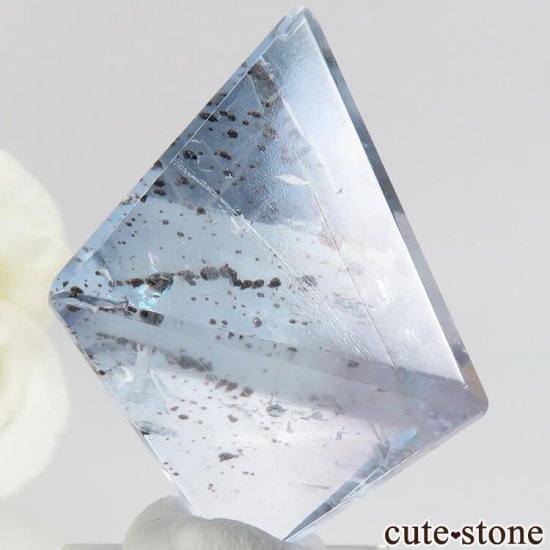 ꥫ ȬΡʤؤ뾽˥֥롼ե饤ȤΥݥå᤭31.4g μ̿2 cute stone