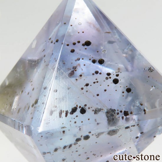 ꥫ ȬΡʤؤ뾽˥֥롼ե饤ȤΥݥå᤭31.4g μ̿3 cute stone