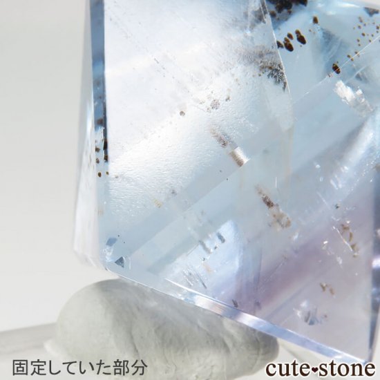 ꥫ ȬΡʤؤ뾽˥֥롼ե饤ȤΥݥå᤭31.4g μ̿4 cute stone