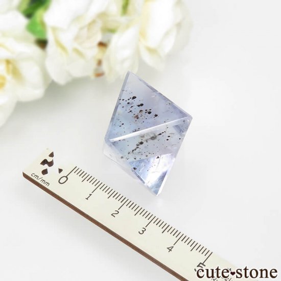 ꥫ ȬΡʤؤ뾽˥֥롼ե饤ȤΥݥå᤭31.4g μ̿5 cute stone