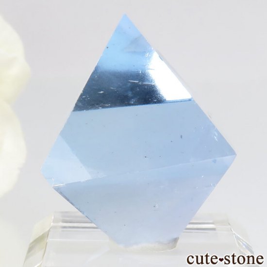 ꥫ ȬΡʤؤ뾽˥֥롼ե饤ȤΥݥå᤭20.5g μ̿0 cute stone
