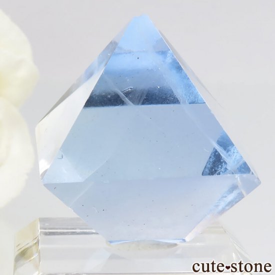 ꥫ ȬΡʤؤ뾽˥֥롼ե饤ȤΥݥå᤭20.5g μ̿1 cute stone