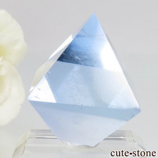 ꥫ ȬΡʤؤ뾽˥֥롼ե饤ȤΥݥå᤭20.5g μ̿2 cute stone