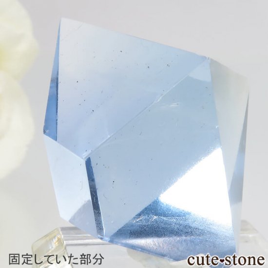 ꥫ ȬΡʤؤ뾽˥֥롼ե饤ȤΥݥå᤭20.5g μ̿3 cute stone