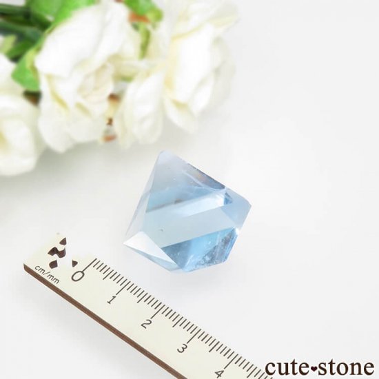 ꥫ ȬΡʤؤ뾽˥֥롼ե饤ȤΥݥå᤭20.5g μ̿4 cute stone