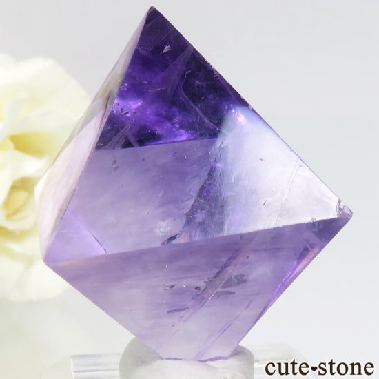 ꥫ ȬΡʤؤ뾽˥ѡץե饤ȤΥݥå᤭29.5g μ̿0 cute stone