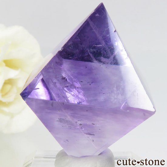 ꥫ ȬΡʤؤ뾽˥ѡץե饤ȤΥݥå᤭29.5g μ̿2 cute stone