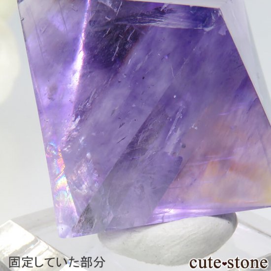 ꥫ ȬΡʤؤ뾽˥ѡץե饤ȤΥݥå᤭29.5g μ̿3 cute stone