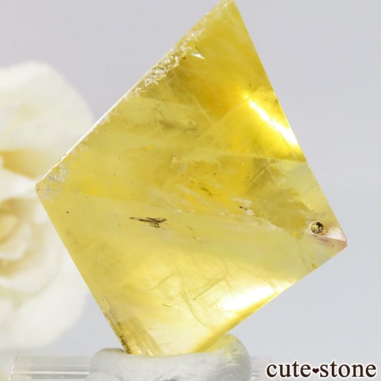 ꥫ ȬΡʤؤ뾽˥ե饤ȤΥݥå᤭23.6g μ̿2 cute stone