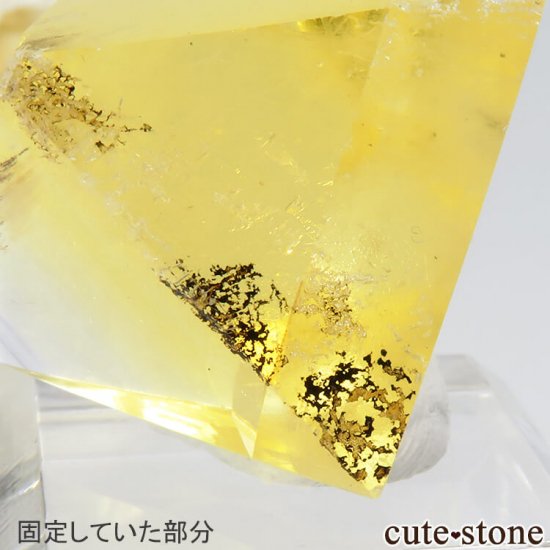 ꥫ ȬΡʤؤ뾽˥ե饤ȤΥݥå᤭23.6g μ̿3 cute stone