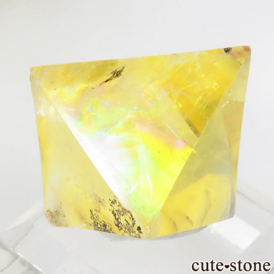 ꥫ ȬΡʤؤ뾽˥ե饤ȤΥݥå᤭23.6g μ̿4 cute stone