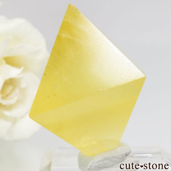 ꥫ ȬΡʤؤ뾽˥ե饤ȤΥݥå᤭23.2g μ̿0 cute stone
