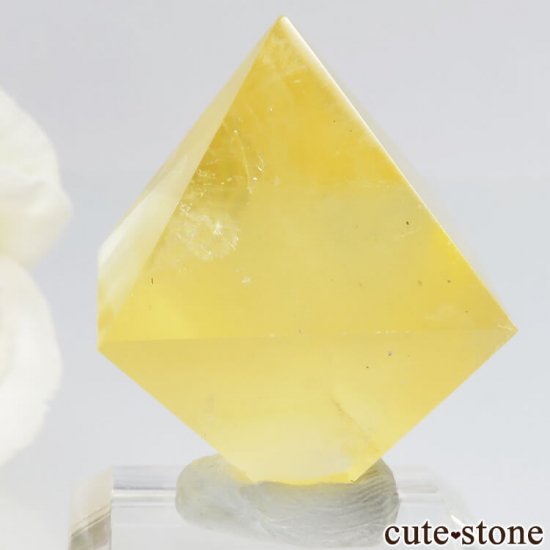 ꥫ ȬΡʤؤ뾽˥ե饤ȤΥݥå᤭23.2g μ̿1 cute stone