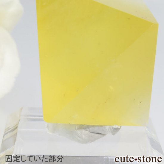 ꥫ ȬΡʤؤ뾽˥ե饤ȤΥݥå᤭23.2g μ̿3 cute stone