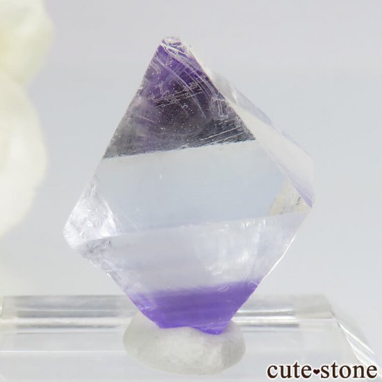 ꥫ ȬΡʤؤ뾽˥ѡץե饤ȡʷС5.1g μ̿0 cute stone