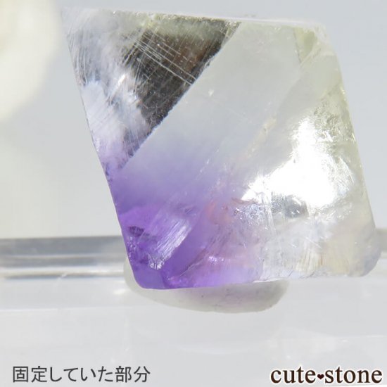 ꥫ ȬΡʤؤ뾽˥ѡץե饤ȡʷС5.1g μ̿3 cute stone