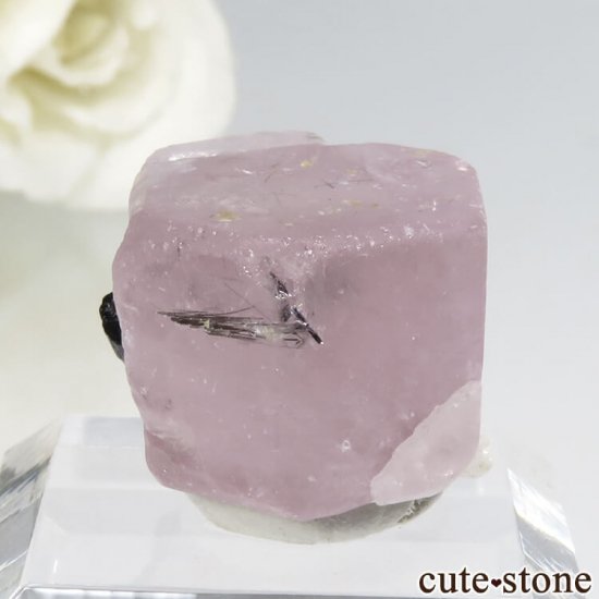 ѥ 뻺 ԥ󥯥ѥȡ֥åȥޥη뾽ʸС 11.8gμ̿0 cute stone