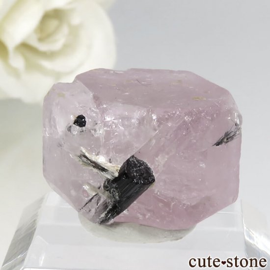 ѥ 뻺 ԥ󥯥ѥȡ֥åȥޥη뾽ʸС 11.8gμ̿1 cute stone